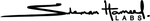 bottom_footer_logo